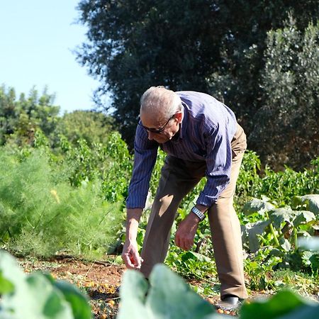 Masseria Grieco Ostuni Εξωτερικό φωτογραφία