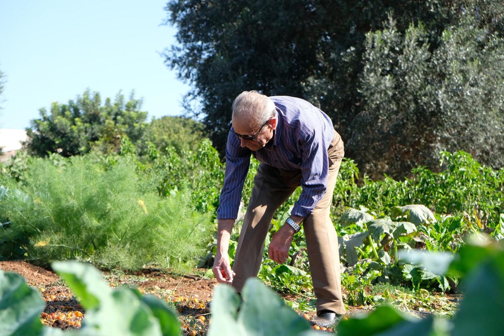 Masseria Grieco Ostuni Εξωτερικό φωτογραφία