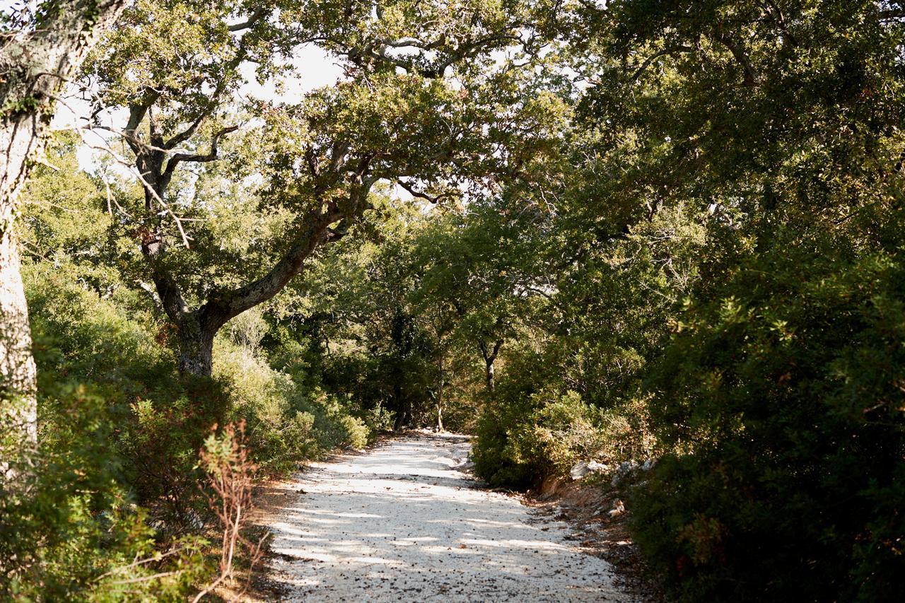 Masseria Grieco Ostuni Εξωτερικό φωτογραφία