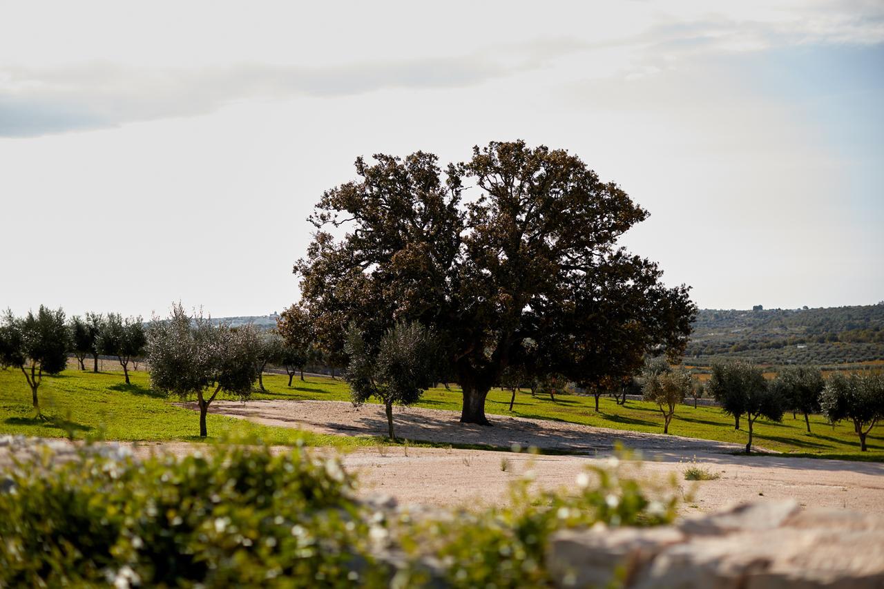 Masseria Grieco Ostuni Εξωτερικό φωτογραφία